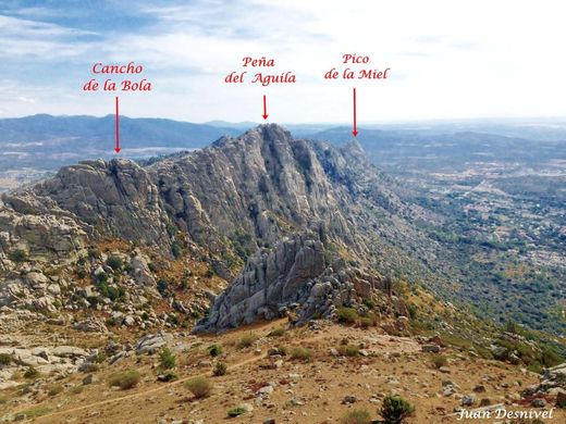 Pico De La Miel