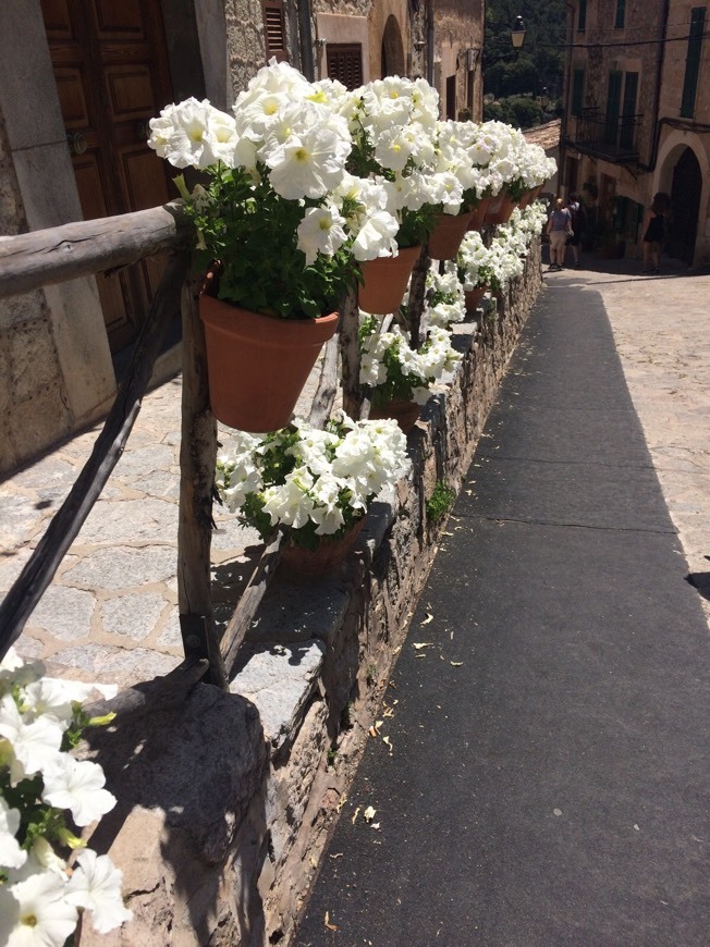 Place VALLDEMOSSA