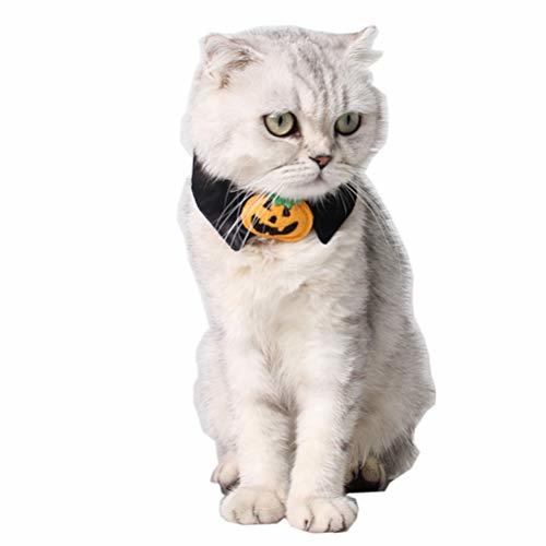 Places POPETPOP Collar de Perro de Halloween-Calabaza Gato Gato Disfraz de Halloween Pajarita