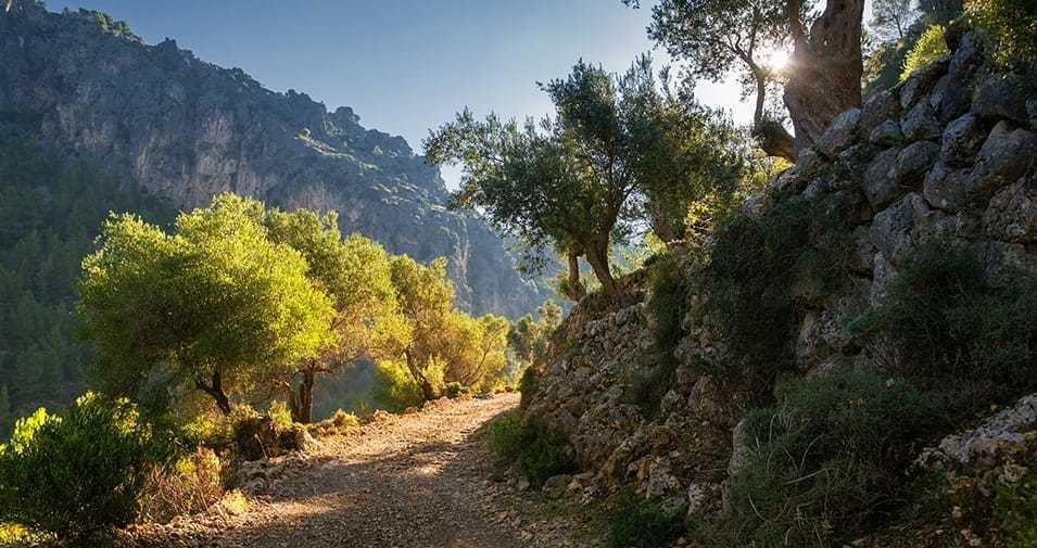 Lugar Sierra de Tramontana