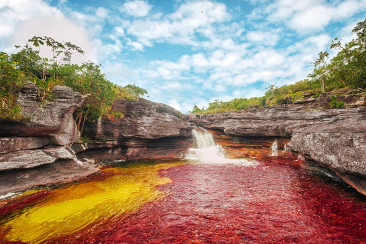 Place Caño Cristales