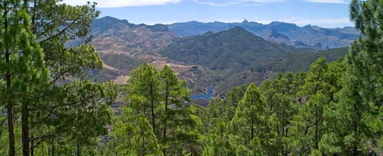 Lugar Tamadaba Natural Park