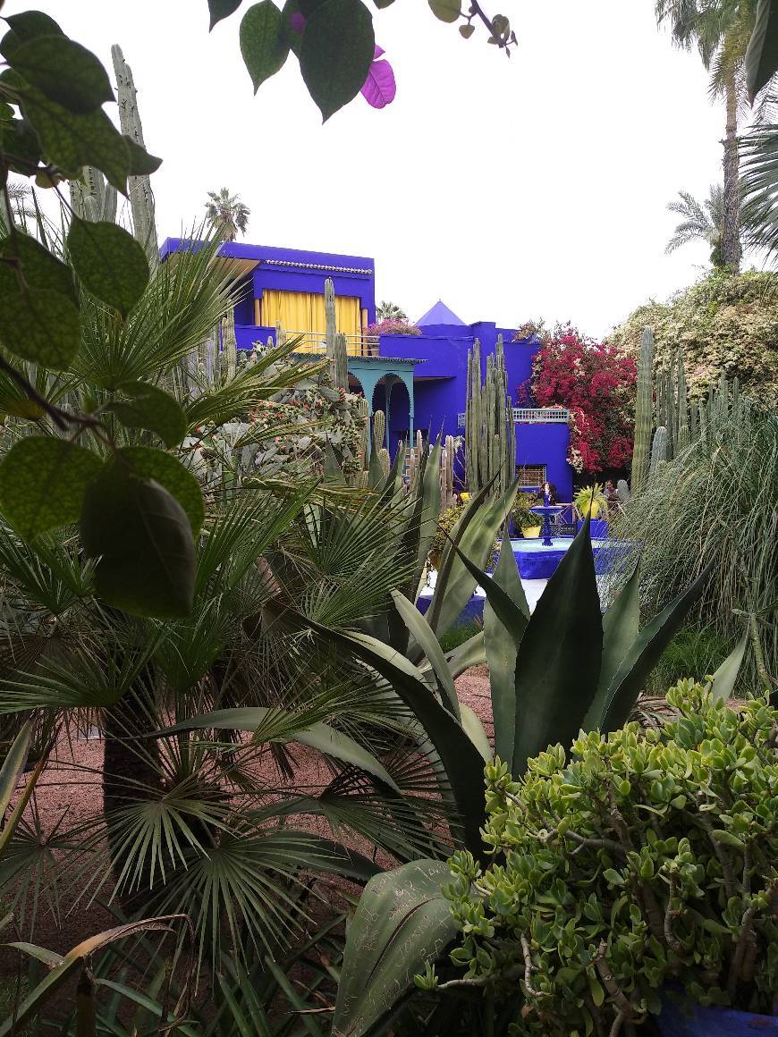 Lugar musée YVES SAINT LAURENT marrakech