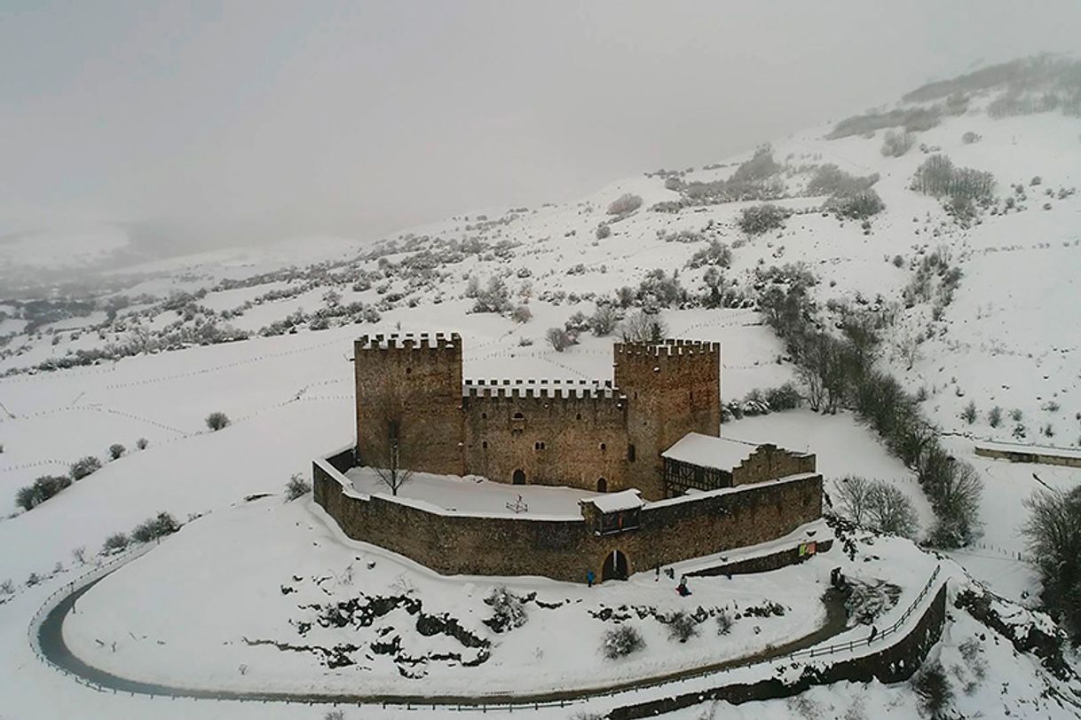 Place Castillo de Argüeso