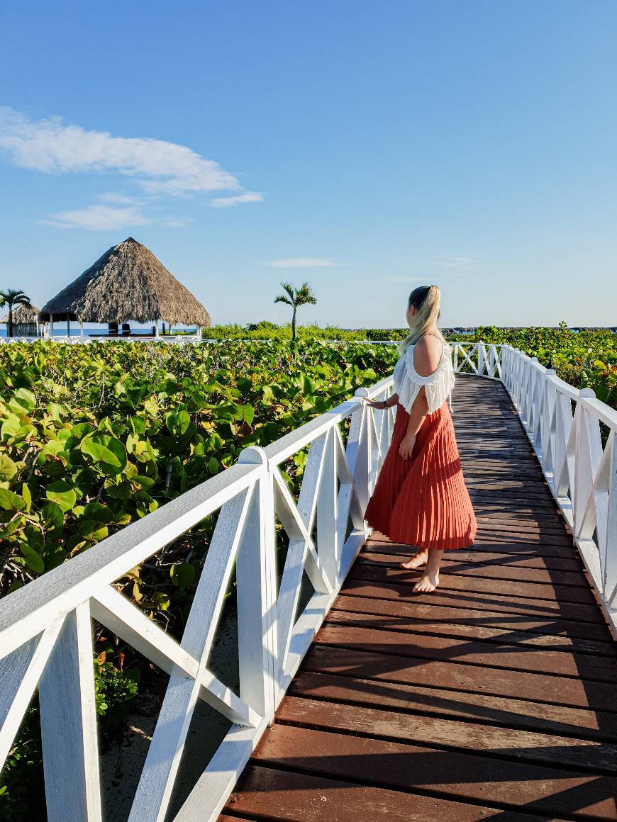 Place Hotel Meliá Cayo Santa María