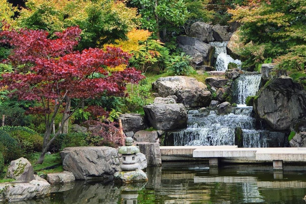 Lugar Kyoto Garden