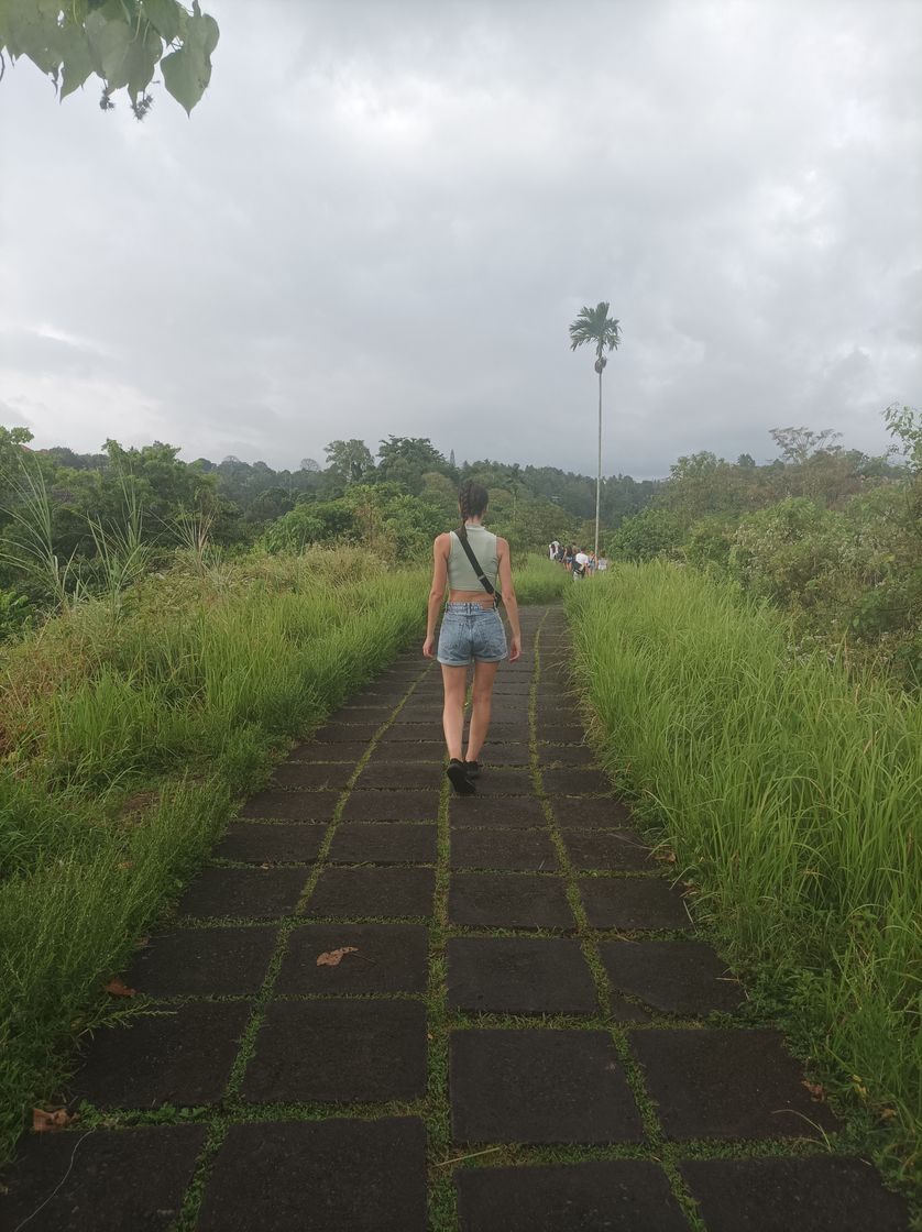 Lugar Campuhan Ridge Walk