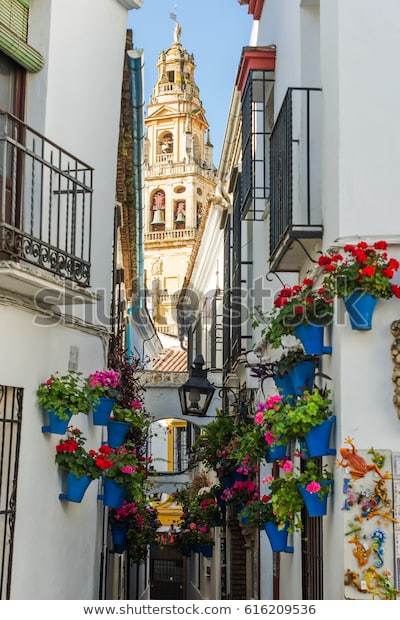 Lugar Calleja de las Flores