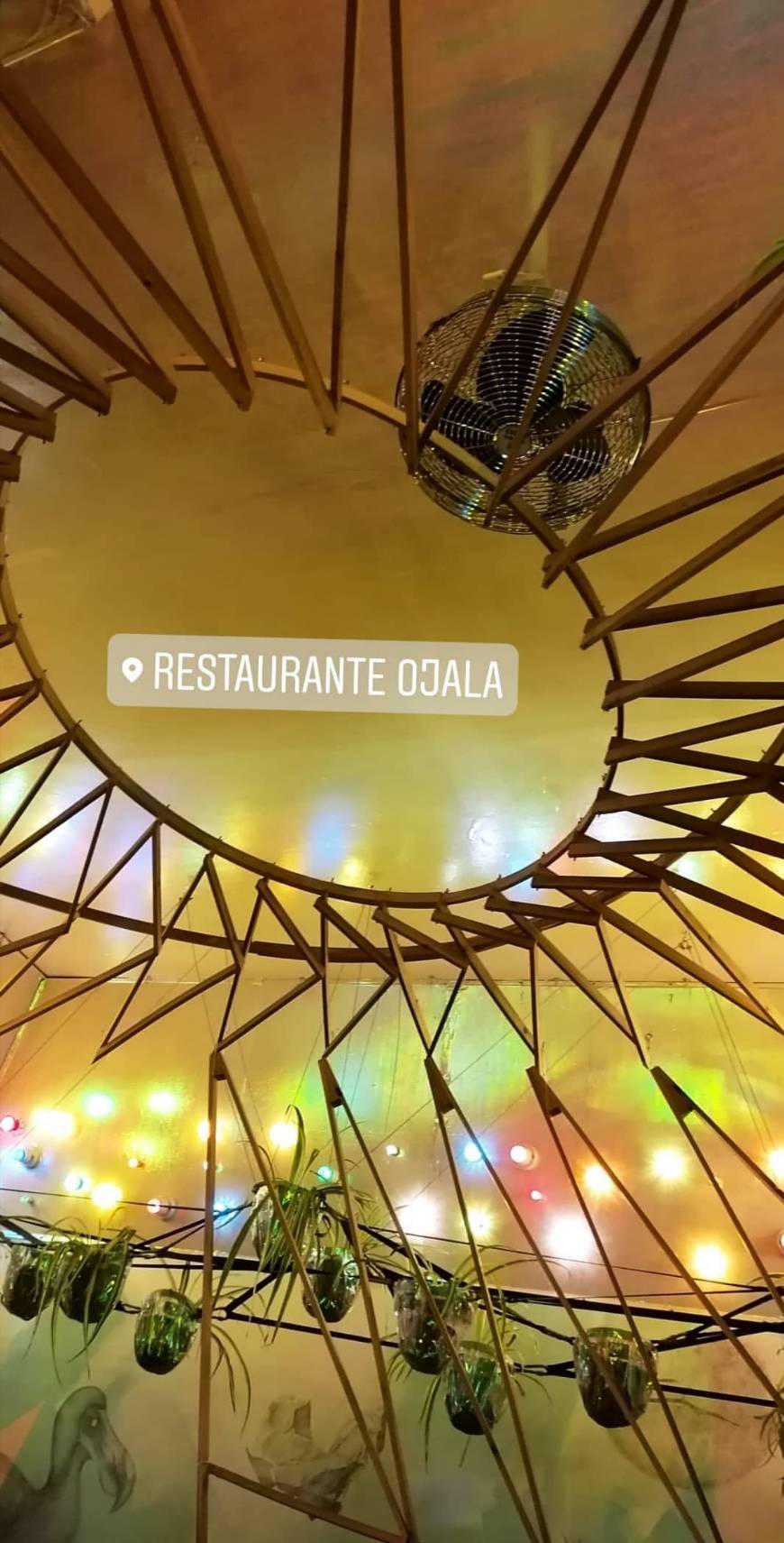 Restaurants Ojalá