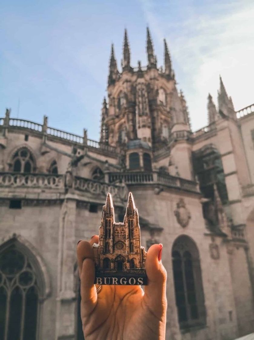 Lugar Catedral de Burgos