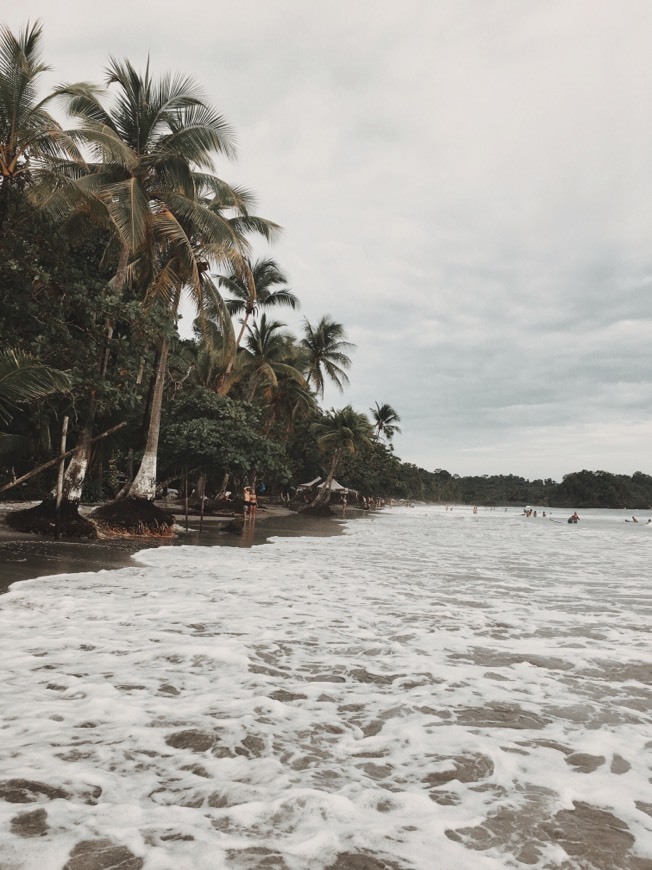 Lugar Playa Espadilla Norte