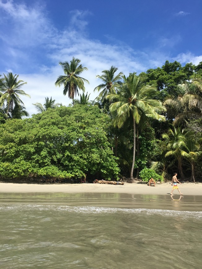 Place Manuel Antonio National Park