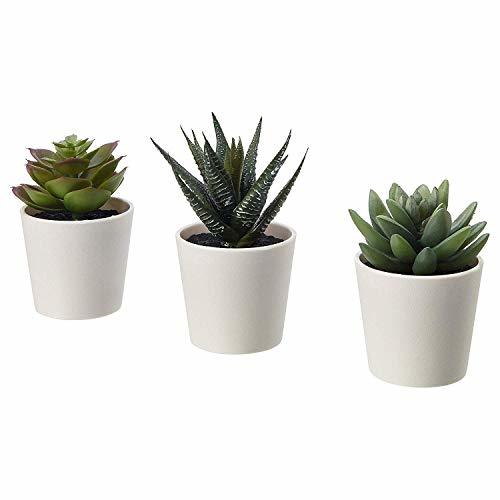 Product IKEA 203.953.31 FEJKA - Plantas artificiales de escritorio en macetas