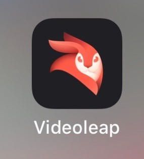 ‎Enlight Videoleap Video Editor on the App Store