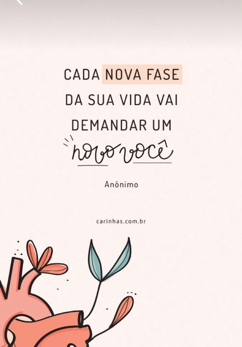 Moda Motivação 