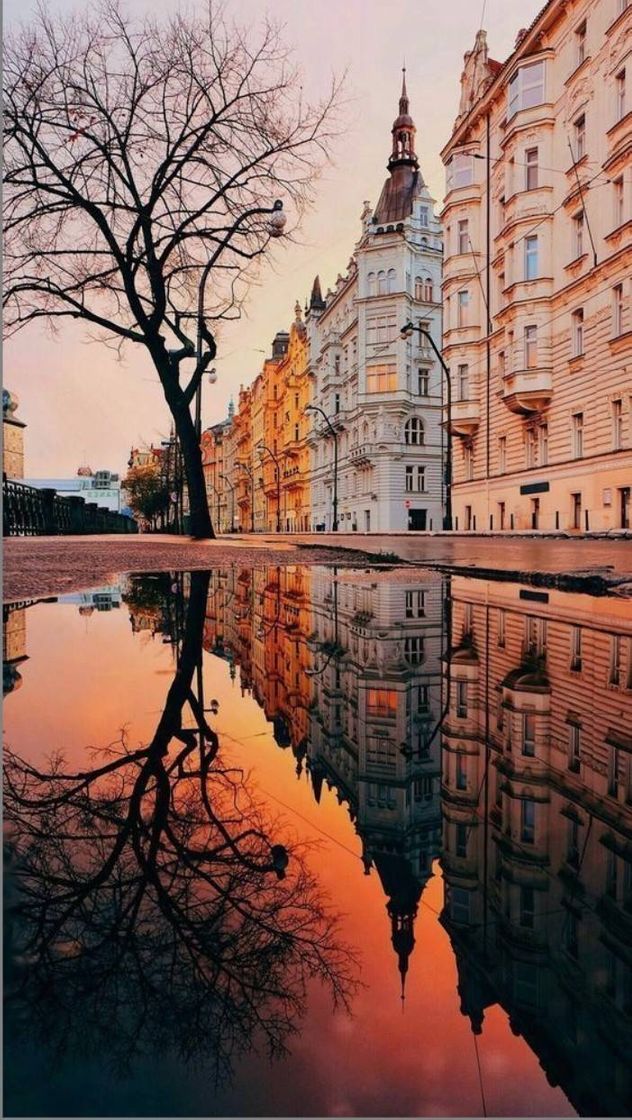 Fashion Reflective Lake 🗻