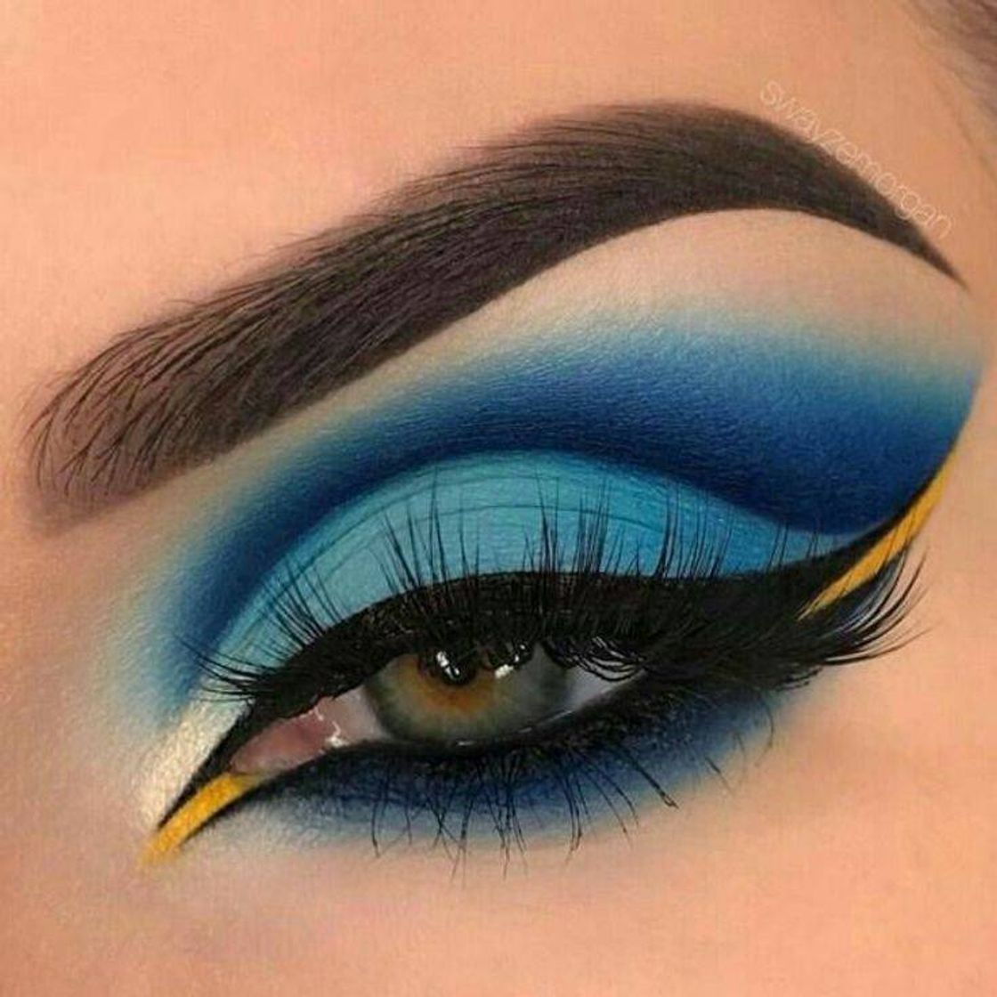 Social Make dory