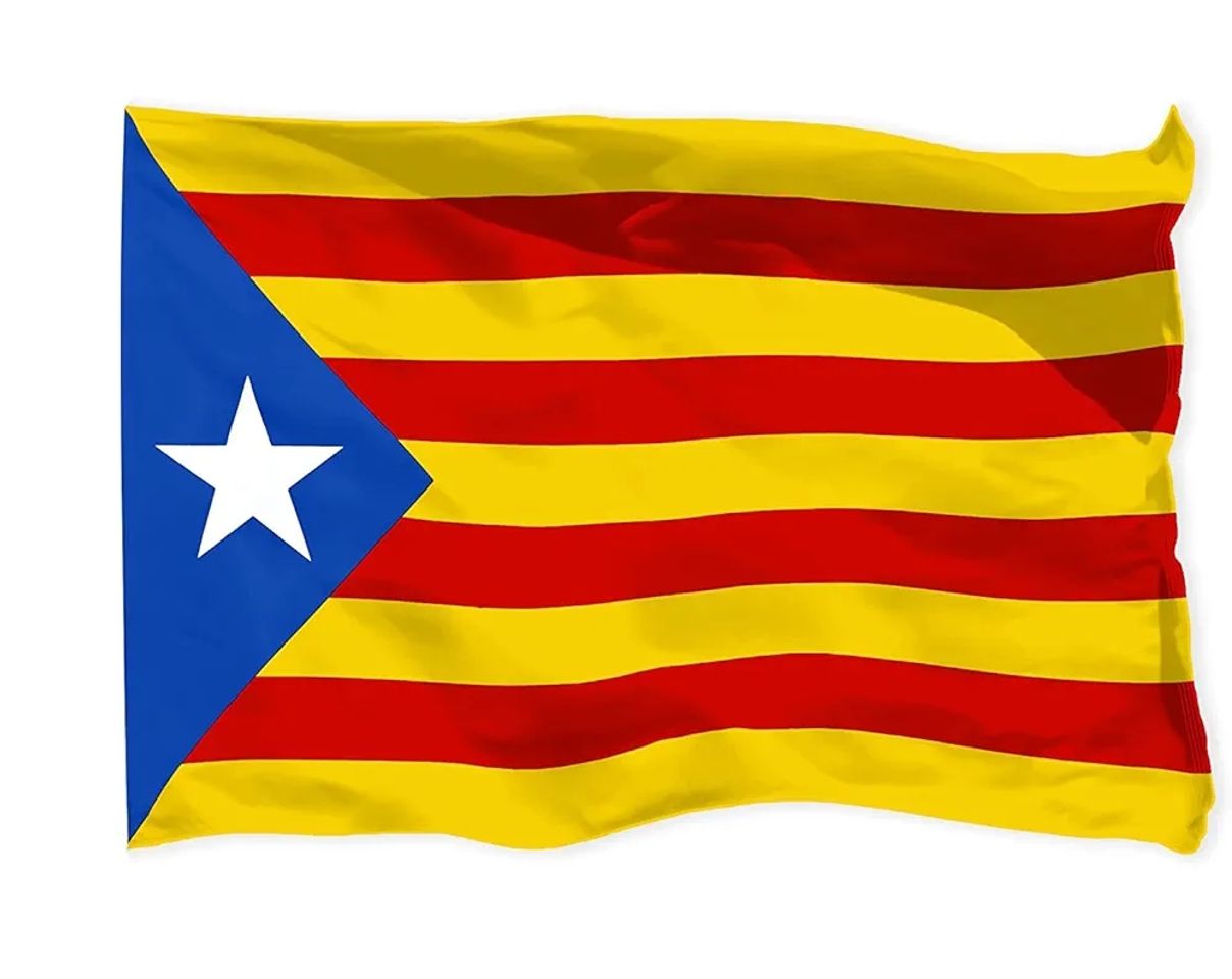 Elemento de la categoría hogar Bandera Catalana Grande 150x90cm