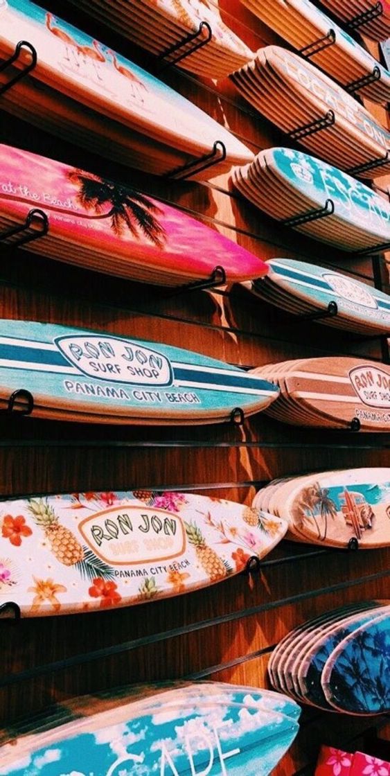 Moda Board 🏄‍♀️