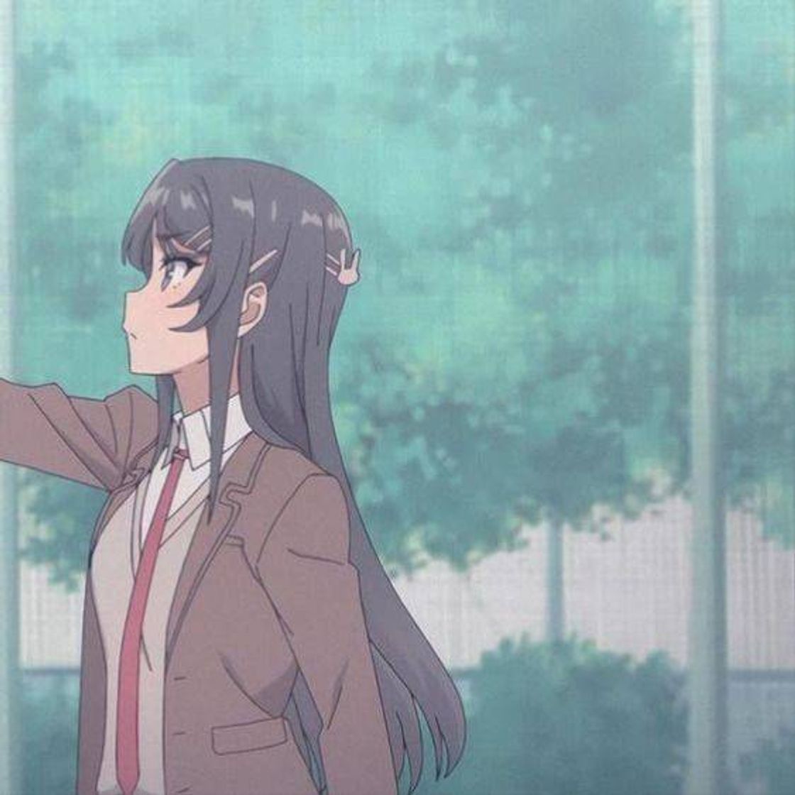 Social Bunny girl senpai