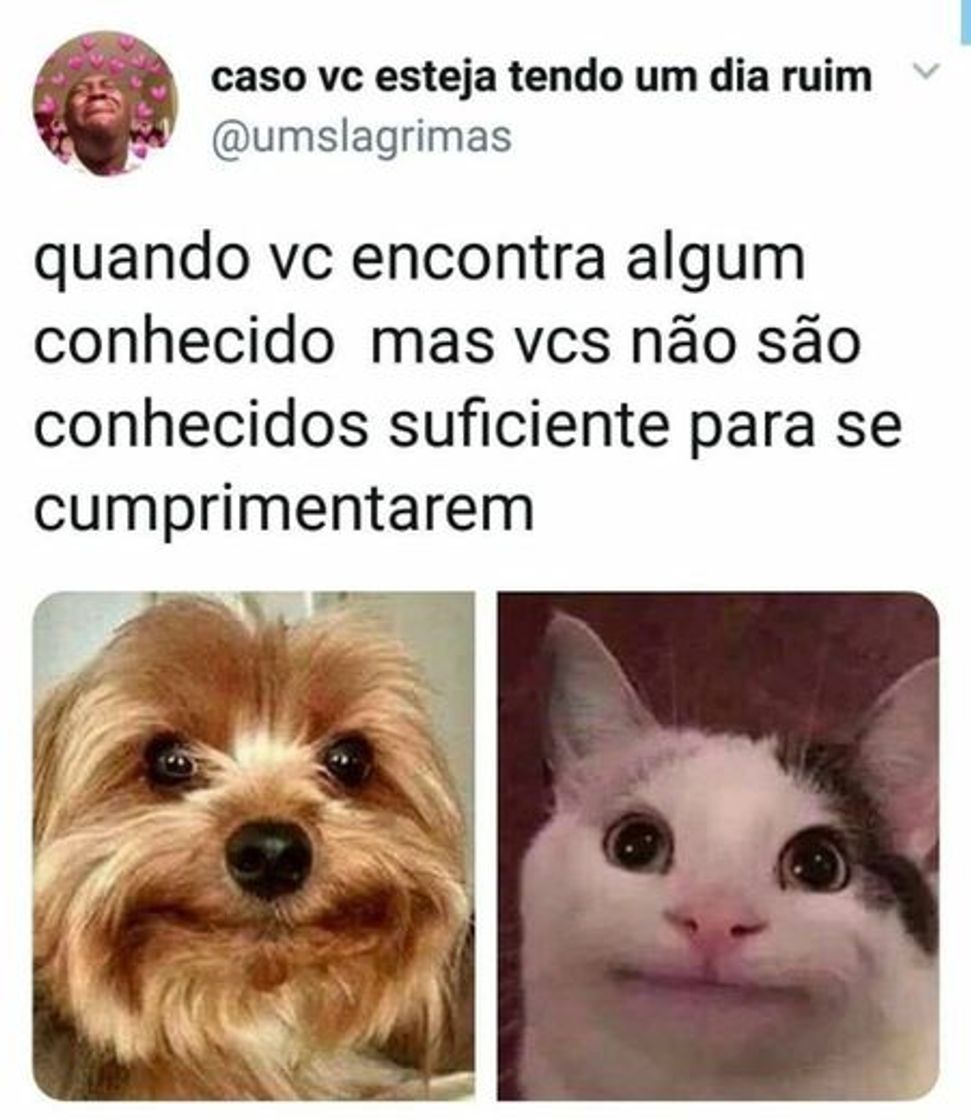 Social memes