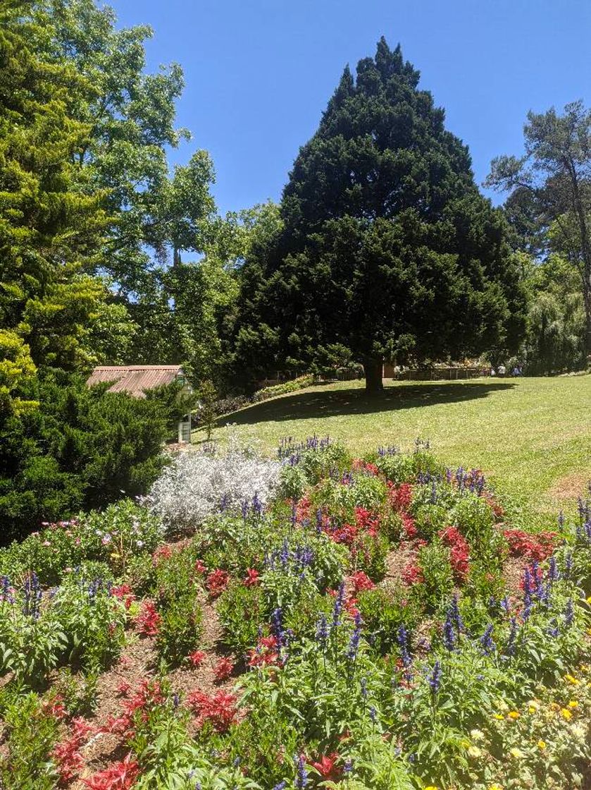 Lugar Le Jardin Parque de Lavanda