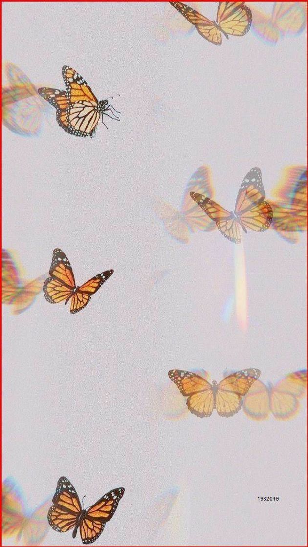 Social Wallpapers 