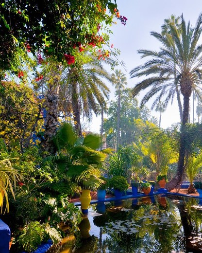 Jardín Majorelle