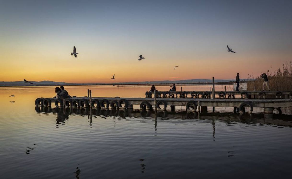 Place Albufera de Valencia