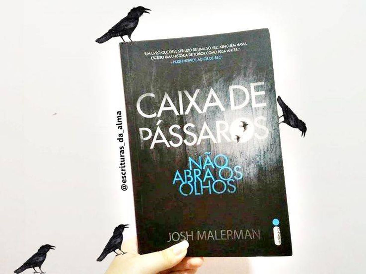 Moda Livro 📖📚