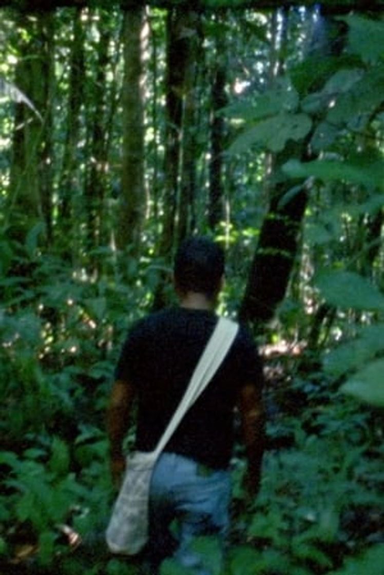 Movie El Laberinto