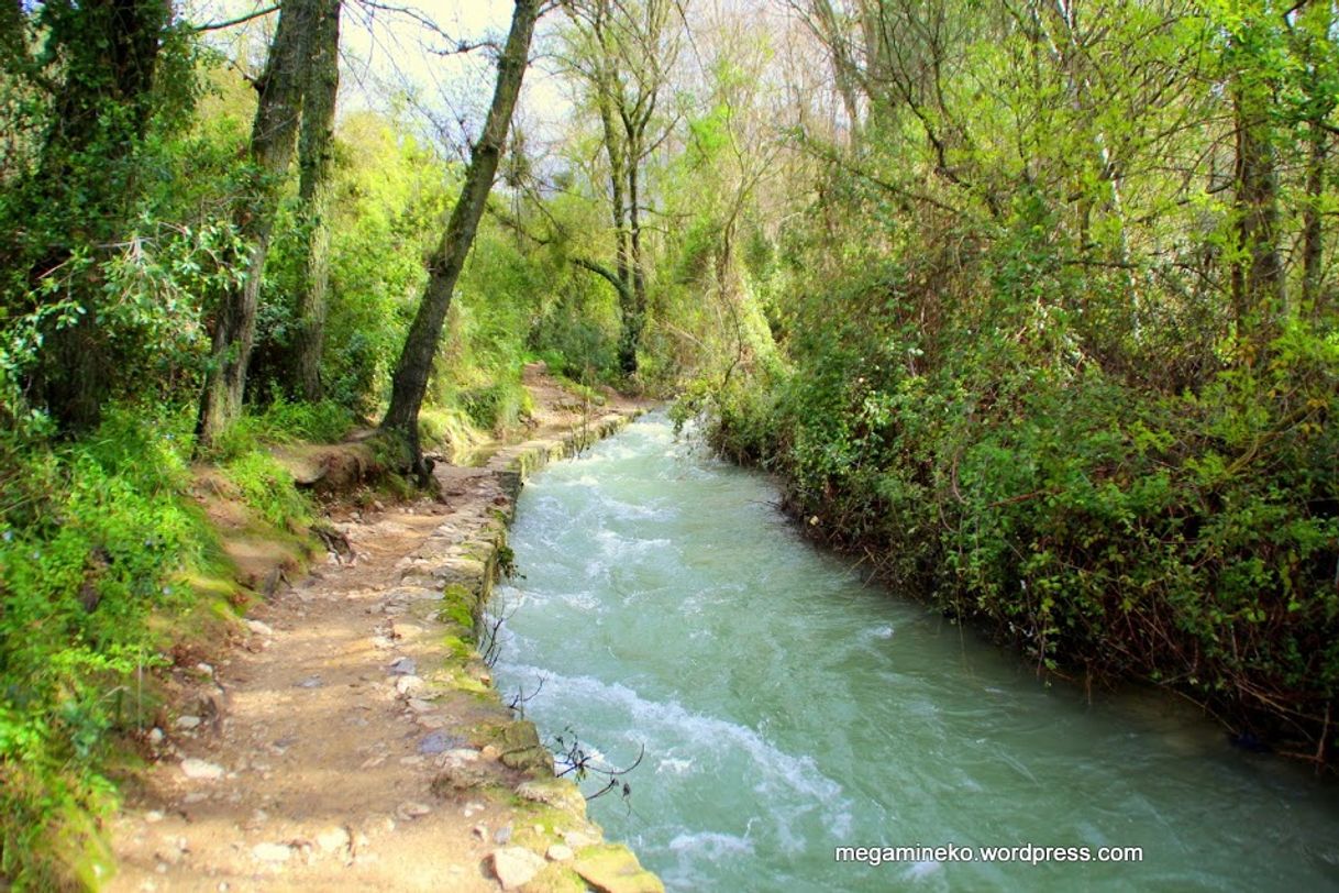 Lugares Sendero Río Majaceite