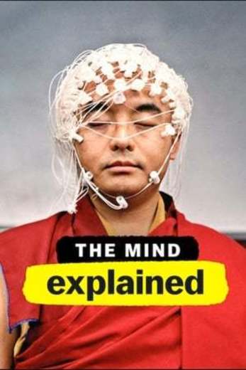 The Mind, Explained