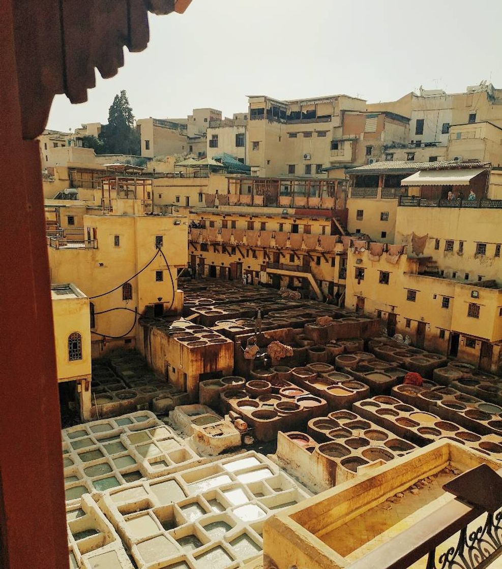 Local Fez