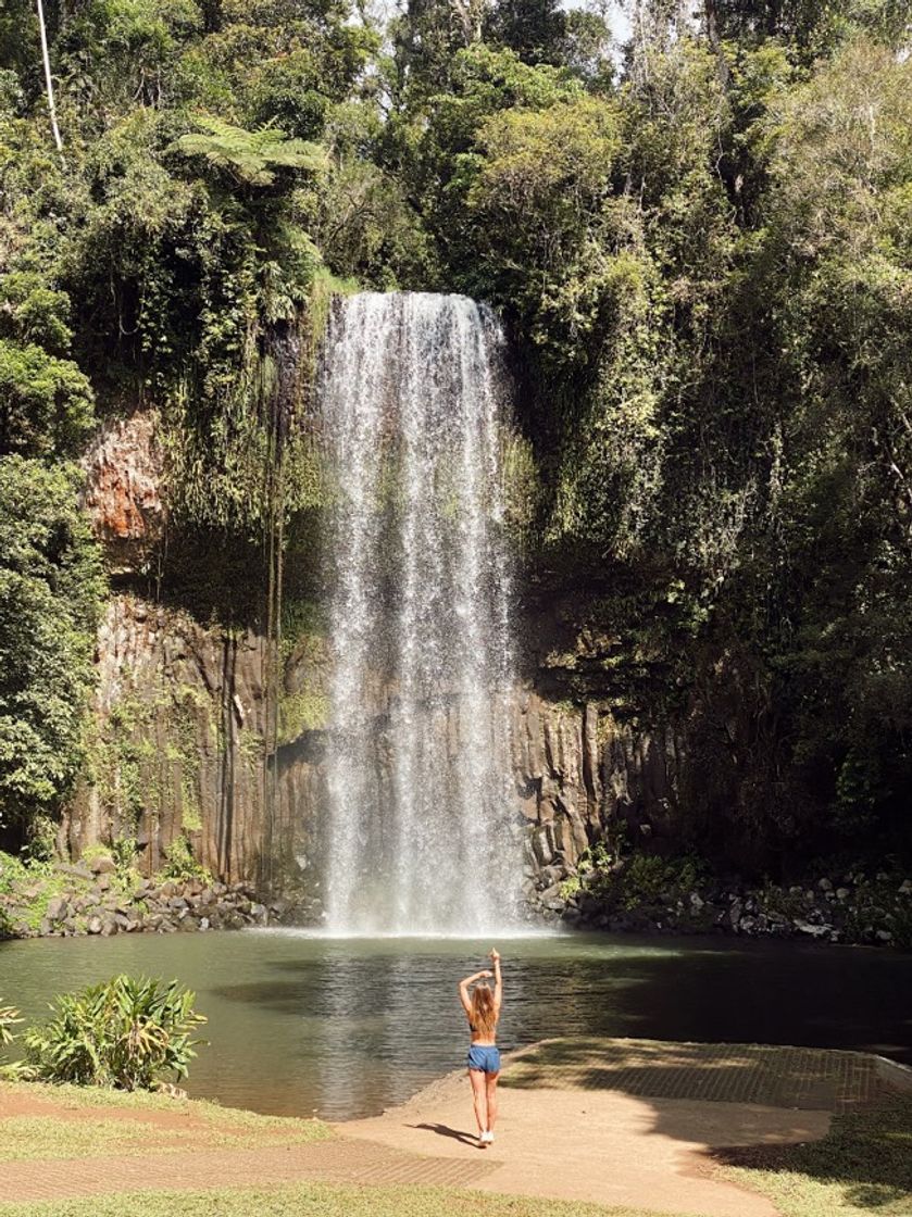 Lugar Millaa Millaa Waterfall