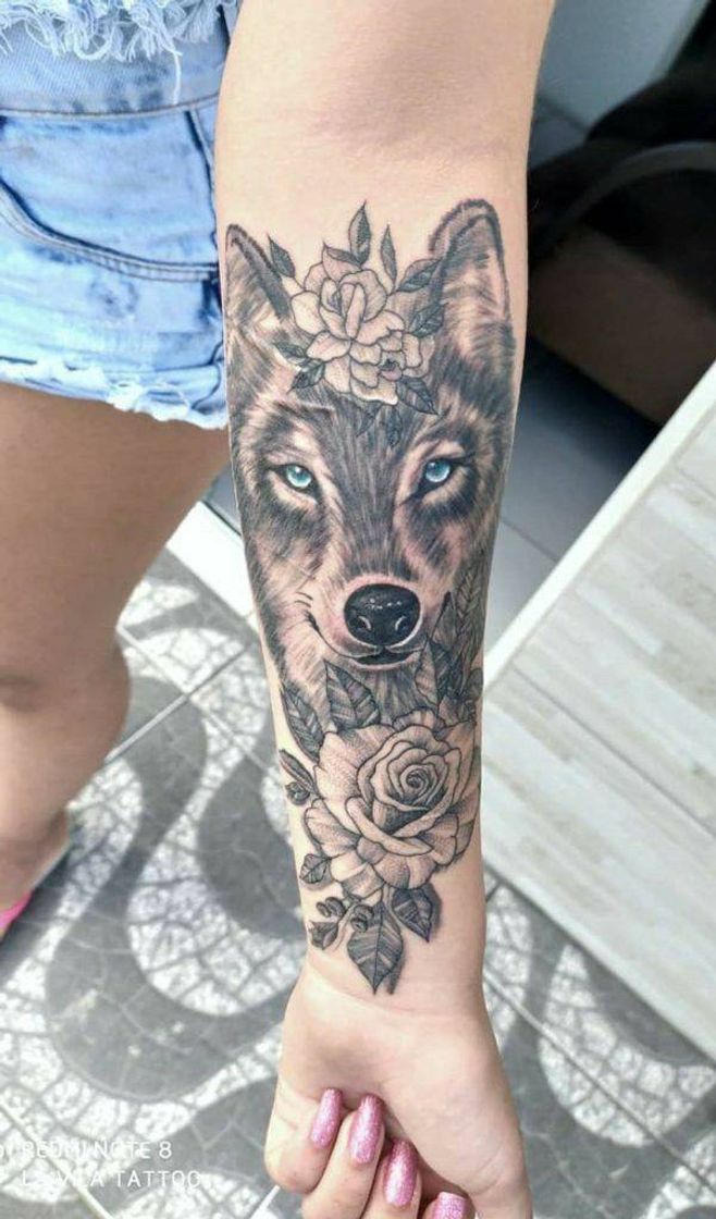 Social Lobo olhos azuis