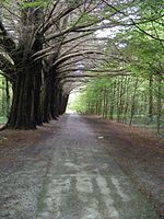 Lugar Coole Demesne