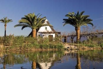 Parc Natural De l'Albufera