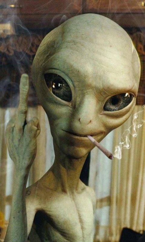 Social Fondos de pantalla 