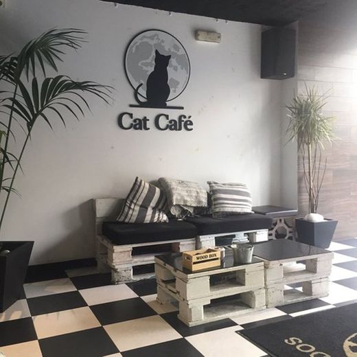 Cat-Cafe Coruña