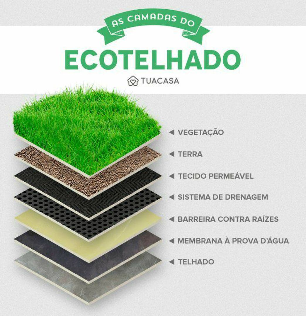 Moda O que você precisa para fazer a sua laje verde 