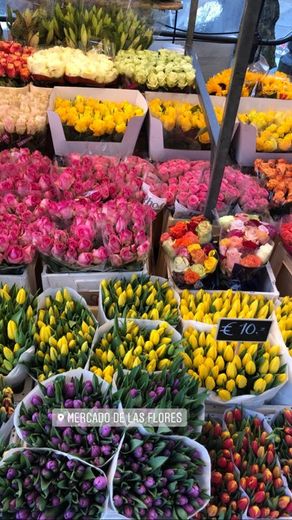 The Flowers Market 