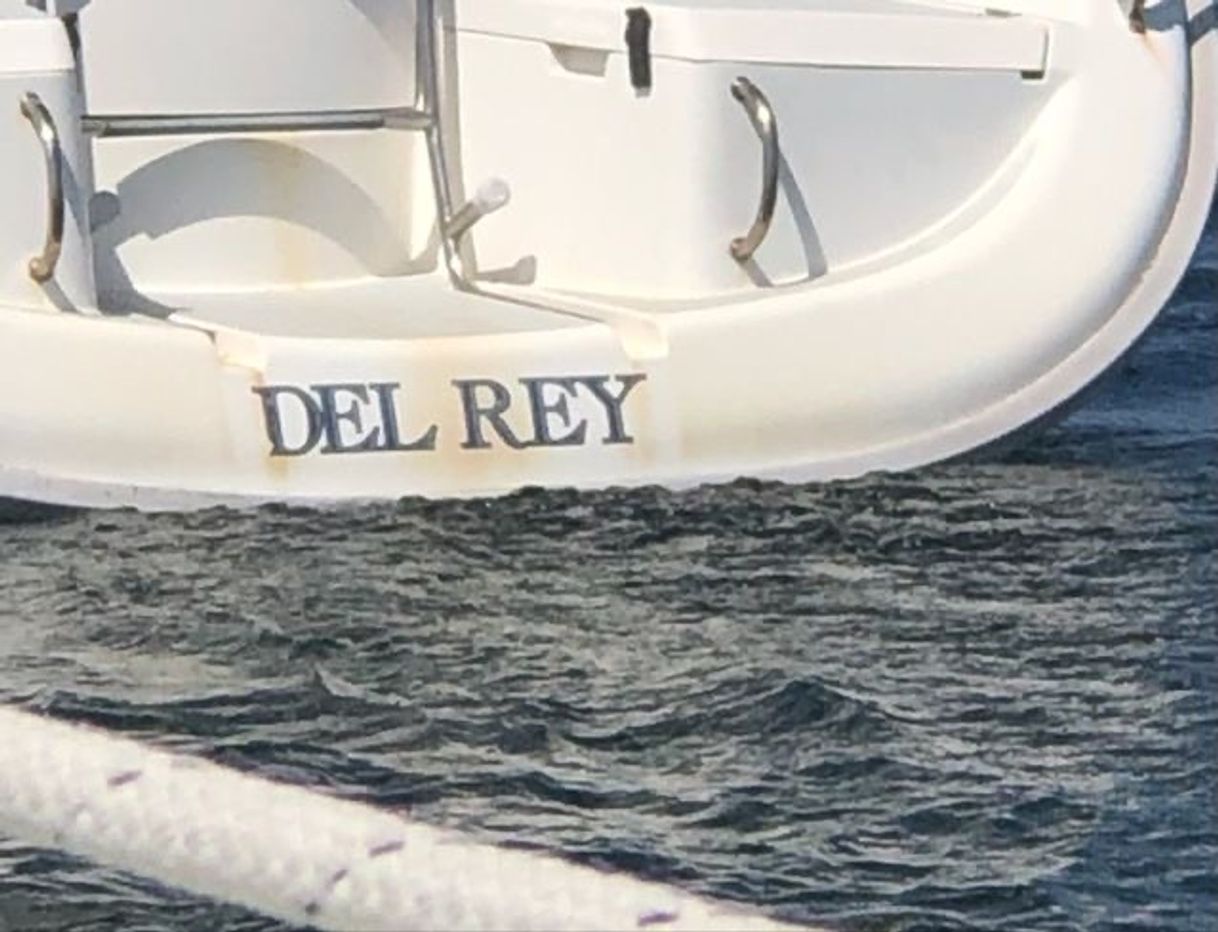 Social Lana Del Rey
