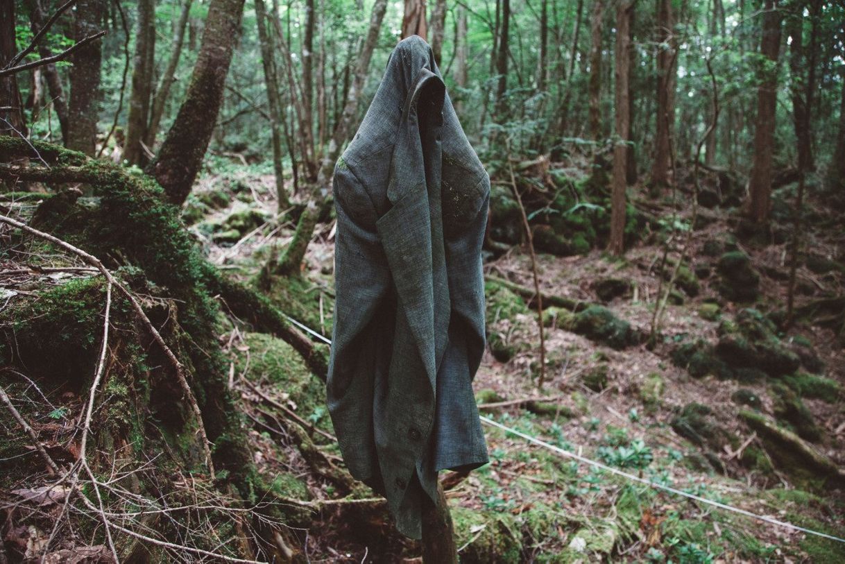 Movies Aokigahara: Suicide Forest