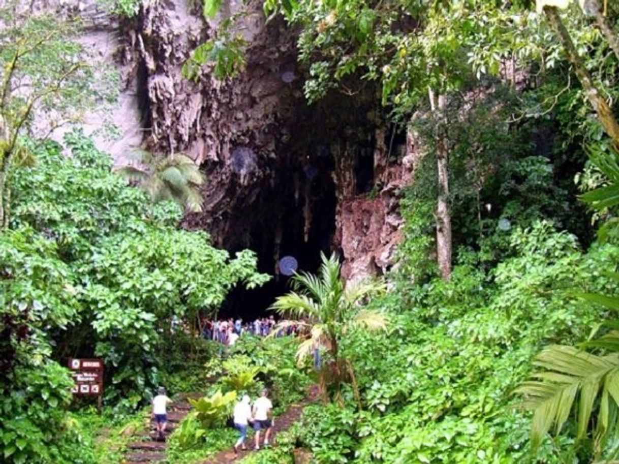 Lugar Parque Nacional El Guácharo