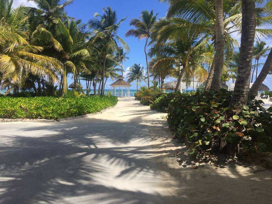 Lugar Catalonia Bavaro Beach, Golf & Casino Resort