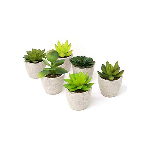 Maison & White Conjunto de 6 plantas artificiales suculentas