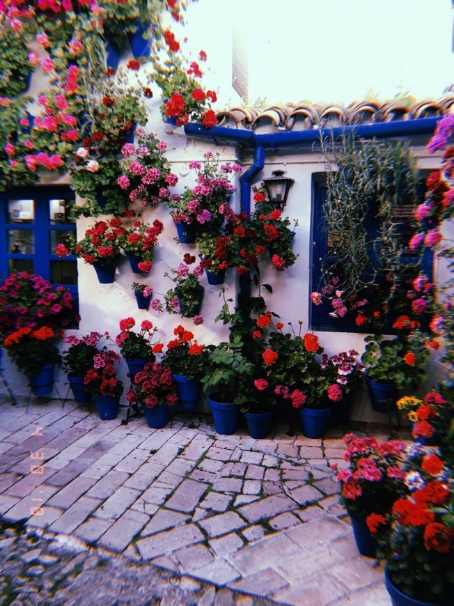 Lugares Homenaje a la Fiesta de los Patios de Córdoba