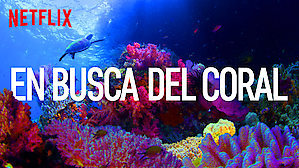 Fashion En busca del coral | Sitio oficial de Netflix