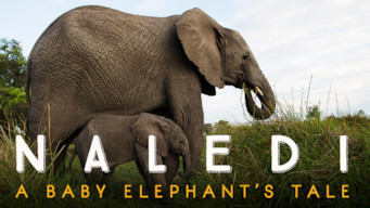 Moda Naledi: A Baby Elephant's Tale | Netflix